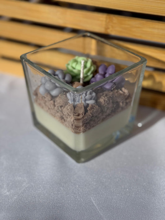 Botanischer Garten im Glas