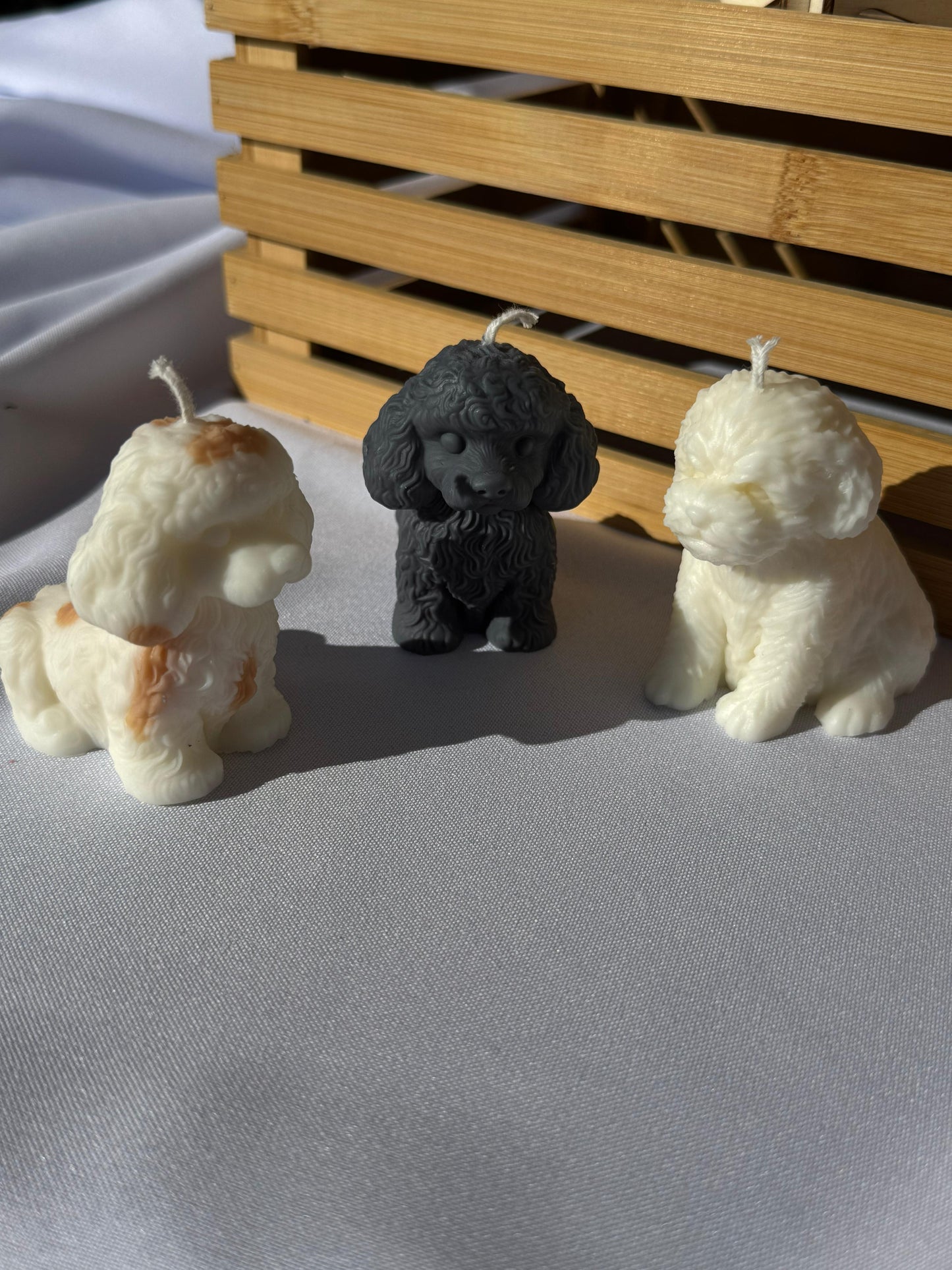 Puddel Hunde Kerze